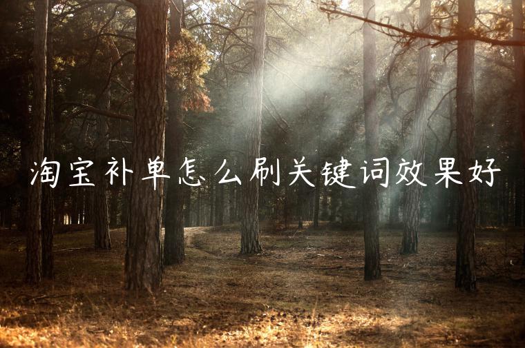 淘寶補單怎么刷關(guān)鍵詞效果好